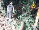 L'intervento dei vigili del fuoco a Maccagno sulla 394 L'intervento dei vigili del fuoco a Maccagno sulla 394
