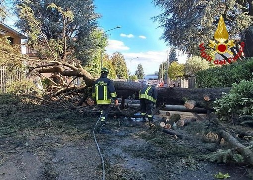 Altra violenta ondata di maltempo in Lombardia: colpito il Basso Varesotto Altra violenta ondata di maltempo in Lombardia: colpito il Basso Varesotto