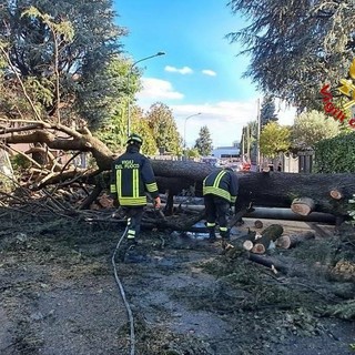 Altra violenta ondata di maltempo in Lombardia: colpito il Basso Varesotto