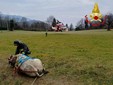 Le complesse operazioni di salvataggio della mucca e dell'asino rimasti bloccati nei boschi di Masciago Primo Le complesse operazioni di salvataggio della mucca e dell'asino rimasti bloccati nei boschi di Masciago Primo