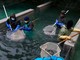L'incubatoio ittico di Maccagno cerca nuovi volontari