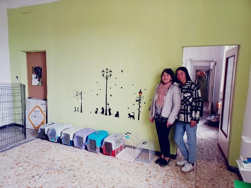 Il nuovo &quot;gattile&quot; inaugurato a Maccagno con Pino e Veddasca (foto dalla pagina Facebook di Impegno Civico&quot;