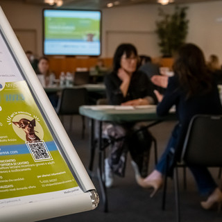 Torna anche per il 2025 il MyJobDay: un'opportunità concreta per trovare lavoro (foto archivio)