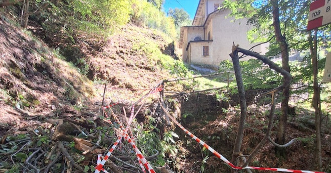 L'albero caduto sulla mulattiera di Monteviasco (foto tratta da Luinonotizie.it) L'albero caduto sulla mulattiera di Monteviasco (foto tratta da Luinonotizie.it)