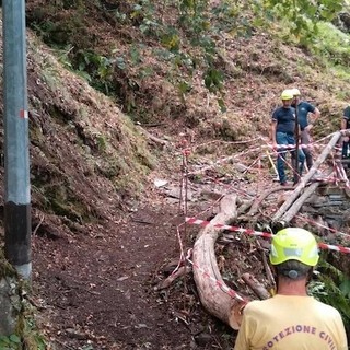 La mulattiera riaperta a Monteviasco grazie al grande lavoro della Protezione Civile (foto tratta da Luinonotizie.it)