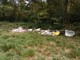 I rifiuti abbandonati nel bosco a Morazzone in via Gornate (foto dalla pagina Facebook del sindaco)