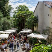 A Morazzone "Tante care cose", il mercato della anticaglie a Casa Macchi