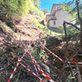 L'albero caduto sulla mulattiera di Monteviasco (foto tratta da Luinonotizie.it)