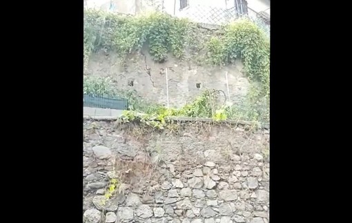 Il muro di contenimento ceduto sulla Briantea a Malnate