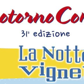 Spotorno, successo per la 31ª edizione di “SpotornoComics – La Notte delle Vignette”