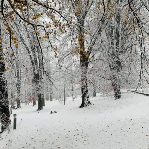 Parco Campo dei Fiori, i sentieri riaperti, neve permettendo, dopo il maltempo dei mesi scorsi