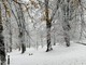 Parco Campo dei Fiori, i sentieri riaperti, neve permettendo, dopo il maltempo dei mesi scorsi