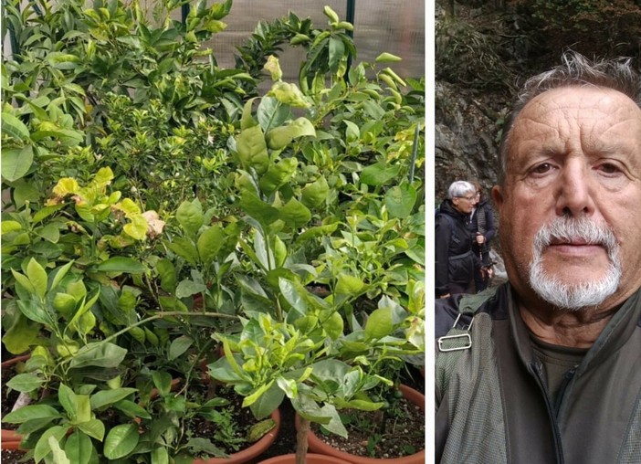 Edy Barzan Edy Barzan