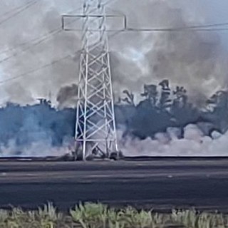 Pomeriggio di fuoco nel Varesotto: grosso incendio nei campi di Origgio