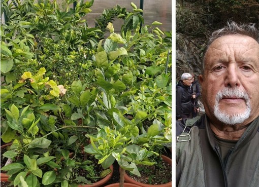 Edy Barzan Edy Barzan