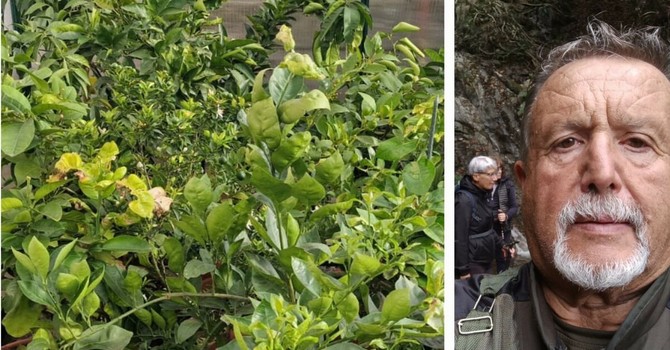 Edy Barzan Edy Barzan