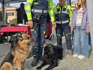 Alcune immagini della festa del Ponte del Sorriso ai Giardini Estensi Alcune immagini della festa del Ponte del Sorriso ai Giardini Estensi