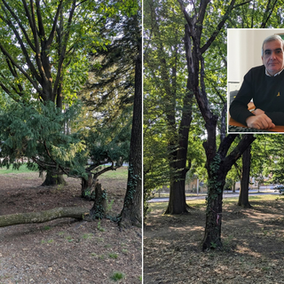 «No a giochi davanti al cimitero di Busto, sì a soluzioni serie»: Tallarida replica sul parco a Madonna Regina