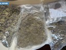 La marjuana sequestrata dalla squadra mobile di Varese a Lainate La marjuana sequestrata dalla squadra mobile di Varese a Lainate