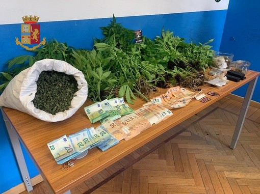 Insospettabile sessantenne coltiva marijuana nell'orto: denunciato dalla polizia