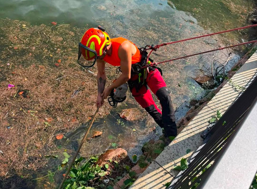 I lavori di manutenzione straordinaria sul lungolago di Porto Ceresio I lavori di manutenzione straordinaria sul lungolago di Porto Ceresio