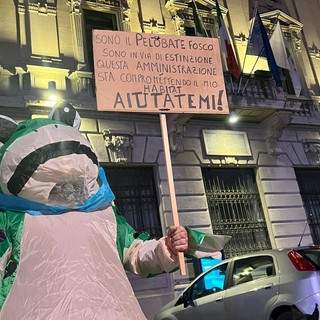 «Aiutatemi»: appello del pelobate davanti a palazzo Borghi ma sul nuovo palazzetto si tira dritto