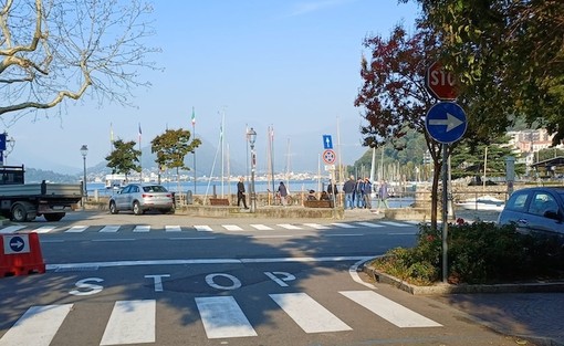Laveno, venti alberi pericolosi da abbattere: «La sicurezza viene prima di tutto»