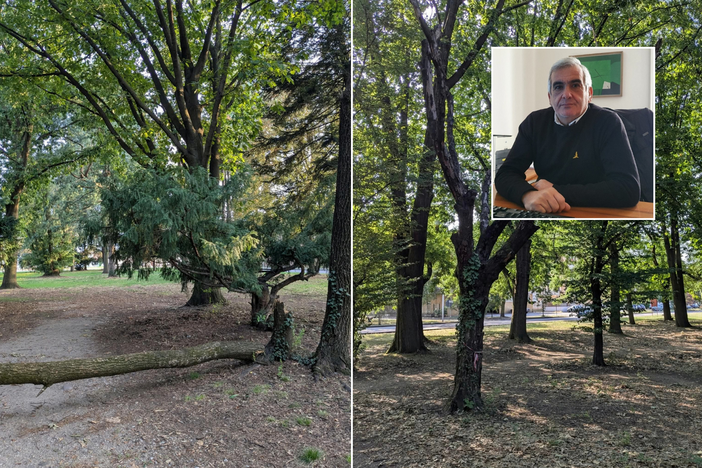 «No a giochi davanti al cimitero di Busto, sì a soluzioni serie»: Tallarida replica sul parco a Madonna Regina