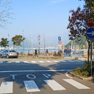 Laveno, venti alberi pericolosi da abbattere: «La sicurezza viene prima di tutto» Laveno, venti alberi pericolosi da abbattere: «La sicurezza viene prima di tutto»