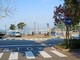 Laveno, venti alberi pericolosi da abbattere: «La sicurezza viene prima di tutto» Laveno, venti alberi pericolosi da abbattere: «La sicurezza viene prima di tutto»