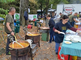 Alcune immagini della festa del Ponte del Sorriso ai Giardini Estensi Alcune immagini della festa del Ponte del Sorriso ai Giardini Estensi