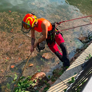 I lavori di manutenzione straordinaria sul lungolago di Porto Ceresio