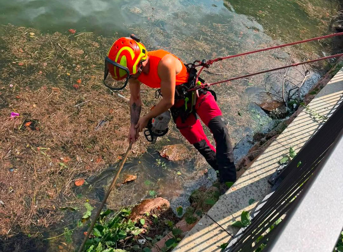 I lavori di manutenzione straordinaria sul lungolago di Porto Ceresio