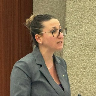 Sicurezza, Dell'Erba: «Lo Stato stia dalla parte dei cittadini onesti e di chi garantisce l’ordine»