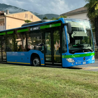 Come diventare conducente di autobus: Autolinee Varesine rilancia l’Academy formativa per autisti