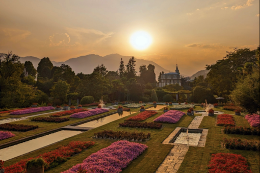 Agosto è Summer Garden: i Giardini di Villa Taranto accendono (ancora) l’estate sul Lago Maggiore Agosto è Summer Garden: i Giardini di Villa Taranto accendono (ancora) l’estate sul Lago Maggiore