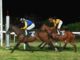 Pubblico numeroso all'ippodromo per la sesta giornata di corse al Varese Park Racecourse