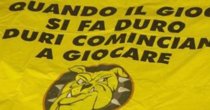 I nostri Mastini sono questi I nostri Mastini sono questi