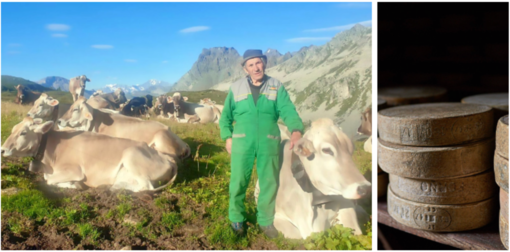 Torna il Bettelmatt: il formaggio d’alpe che racconta l’Alta Ossola Torna il Bettelmatt: il formaggio d’alpe che racconta l’Alta Ossola
