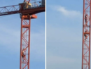 Saronno, entrano in un cantiere e si arrampicano su una gru Saronno, entrano in un cantiere e si arrampicano su una gru