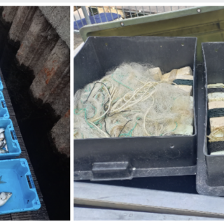 Il materiale sequestrato dalla polizia Provinciale Il materiale sequestrato dalla polizia Provinciale