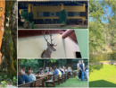 L'agriturismo Rosalber è a Castello Cabiaglio, al chilometro 2 della Strada Provinciale 45 L'agriturismo Rosalber è a Castello Cabiaglio, al chilometro 2 della Strada Provinciale 45