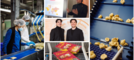 Raddoppia lo stabilimento di Lonate Ceppino dello Scoiattolo: al centro dall'alto Matteo Di Caro vicino ai paesi del mondo in cui arrivano ravioli e pasta fresca varesini, quindi con il fratello Max Di Caro, dg dell'azienda, e a destra i tortelloni in produzione