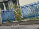 Il luogo dell'incidente (foto tratta dal gruppo Facebook Bacheca Civica di Samarate)