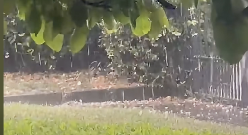 La grandinata su Cuasso al Monte (foto tratta da un video sulla pagina Facebook di Natural Meteo)