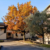 Al Villaggio del Fanciullo continua il progetto "Casa Aliante"