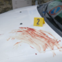 Il sangue rinvenuto sul cofano di una delle tre auto al Sacro Monte Il sangue rinvenuto sul cofano di una delle tre auto al Sacro Monte