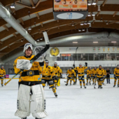 Mastini, a Milano vi vogliamo così