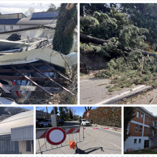 In alto da sinistra: lamiere sulle auto in via Astico. L'albero crollato in via Caracciolo. In basso da sinistra: capannone scoperchiato in via Astico. La polizia locale in via Astico e i vigili del fuoco al lavoro.