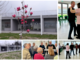 La magnolia all'ingresso del nuovo centro anziani di piazzale Kennedy che verrà inaugurato a giorni e i balli di ieri che hanno accolto la visita del sindaco Galimberti e dell'assessore Molinari